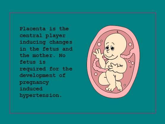 Causes of Pregnancy-Induced Hypertension